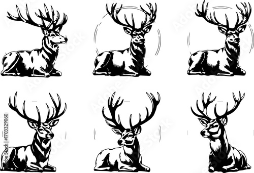 Deer Head Silhouette Vector Set"