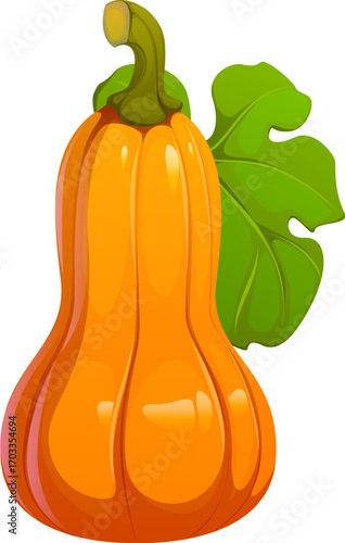 Cartoon autumn fall season butternut pumpkin with green leaf. Happy Thanksgiving holiday and harvest symbol. Isolated vector ripe gourd vegetable symbolizing autumnal crop. Fresh orange pumpkin plant