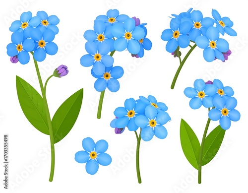 Detailed depiction of a selection of lovely forget-me-not flower clusters