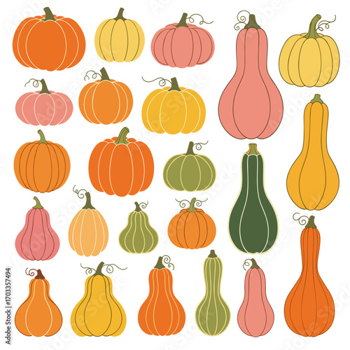 Collection of Various Pumpkins and Gourds in Different Shapes and Colors.