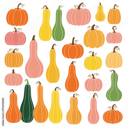 Collection of Various Pumpkins and Gourds in Different Shapes and Colors.
