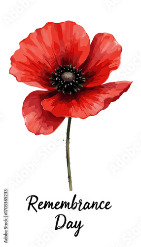 Remembrance Day banner, Remembrance Day poster, Lest We Forget banner, poppy flower design, Armistice Day poster, Veterans Day banner, memorial day remembrance, red poppy poster, military tribute bann