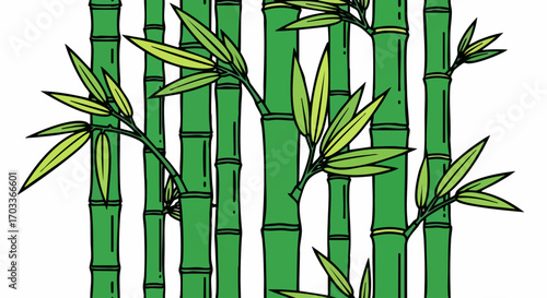 Hand drawn illustration of green bamboo stalks and leaves.