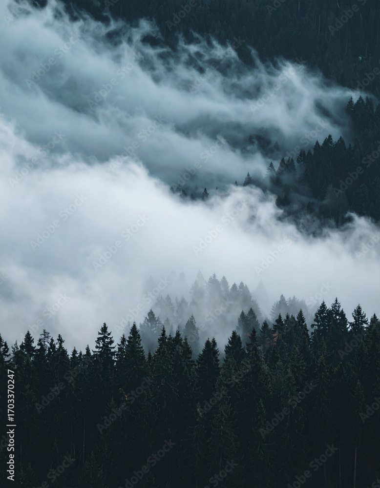 Fototapeta premium Dramatic Cloudscape Over Green Pine Tree Forest on Misty Mountain Slope