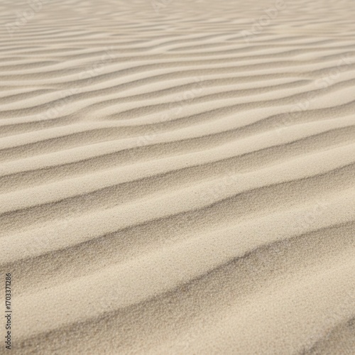 Beach Sand