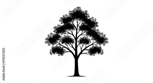 Monochrome Arboreal Artwork: A Solitary Tree Silhouette on Pristine White Canvas