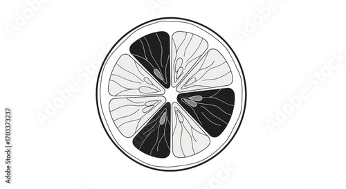 Monochrome citrus slice graphic artwork with geometric and organic feel element