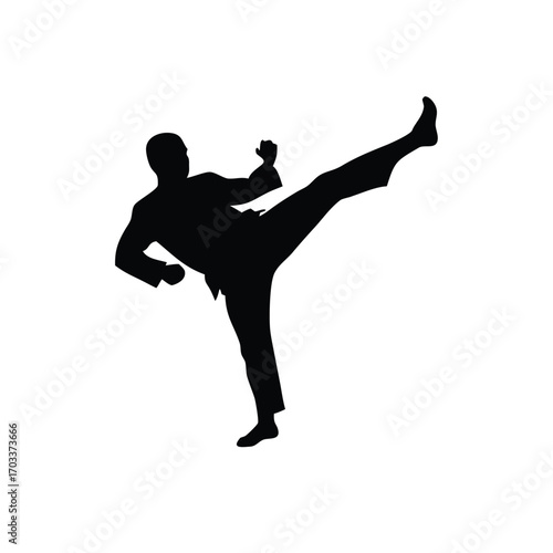 Martial Arts Silhouette Action