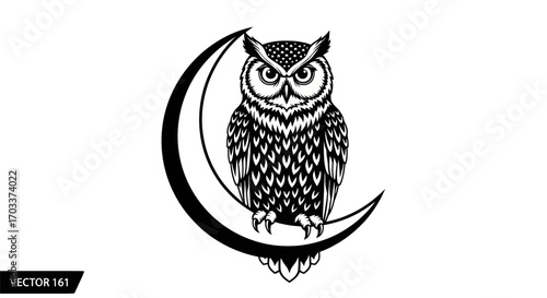 Stylized owl perched gracefully upon a crescent moon evoking night magic illustration