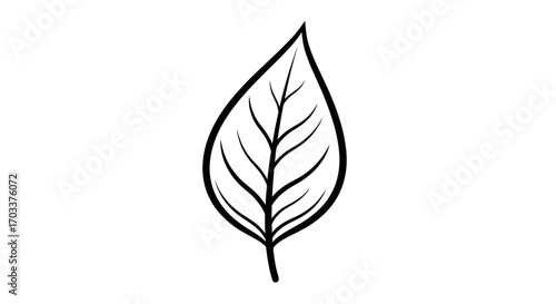 Minimalist illustration of a solitary leaf with intricate vein detailing on white background