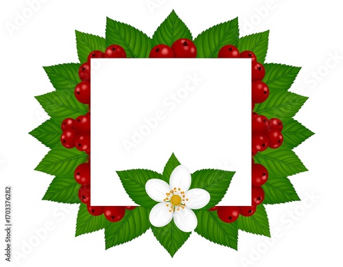Elegant floral frame adorned with vibrant red berries and delicate flower