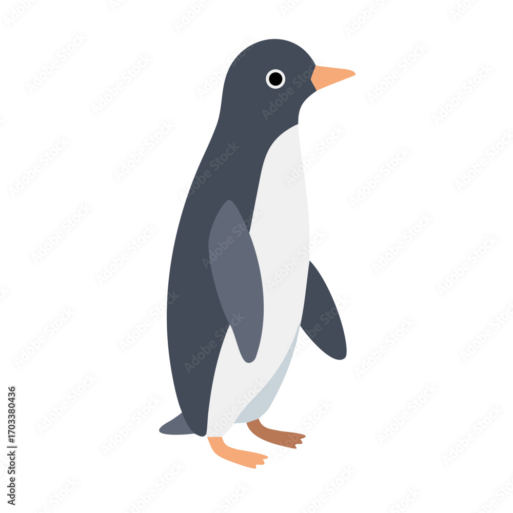 Fototapeta premium Adorable Antarctic Penguin Standing Upright | Simple Cute Cartoon Vector Illustration