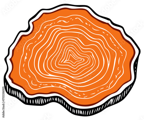 Orange tree slice stylized illustration.