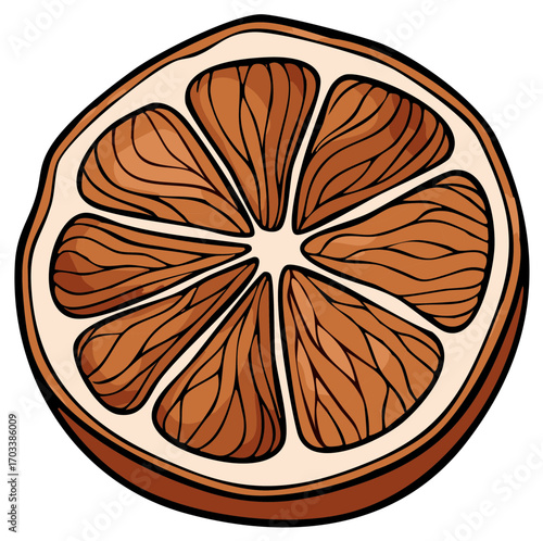 Close up illustration of a dried orange slice with detailed segments and rind