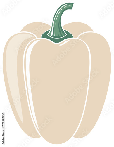 Ivory Bell Pepper Vegetable Illustration with Green Stem Detail