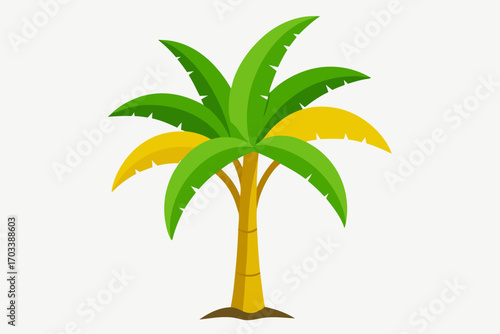 palm tree vector illustration
