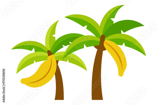 palm tree vector illustration