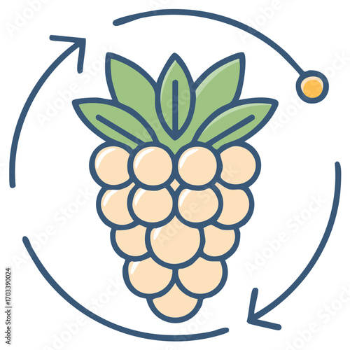 Farm to Table Concept with Fresh Grapes and Circular Process Arrow