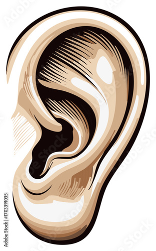 Detailed Human Ear Illustration Artistic Representation Anatomy Medical Concept