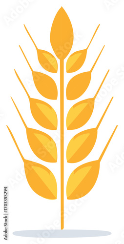 Golden wheat stalk simple vector illustration for agriculture or food production
