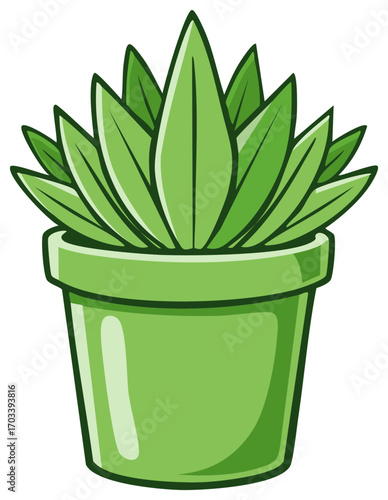 Green succulent plant in a simple pot cartoon style illustration