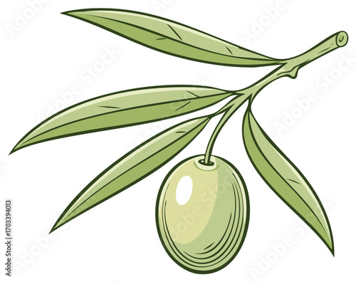 Olive branch illustration with green olive fruit and leaves in vibrant color
