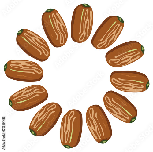 Circle of Fresh Dates Fruit Isolated on White Background