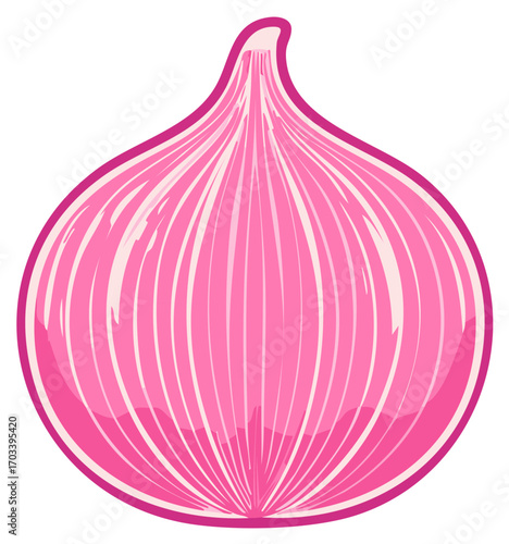 Stylized Pink Onion Vegetable Vector Illustration