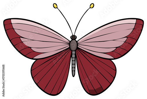 Symmetrical drawing of an elegant butterfly with red and pink patterned wings