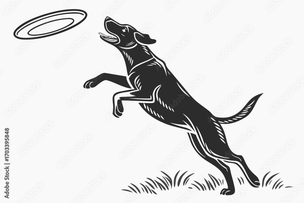 Fototapeta premium Athletic Dog Leaping to Catch Flying Disc.