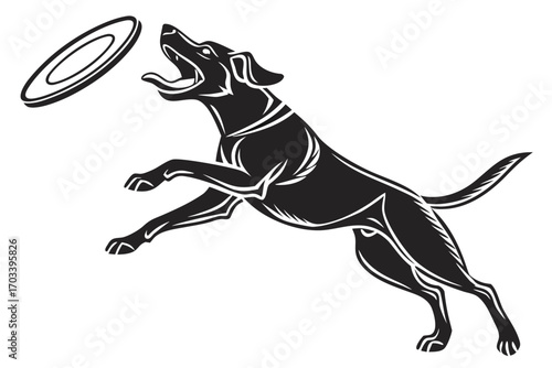 Athletic Dog Leaping to Catch Flying Disc 1.