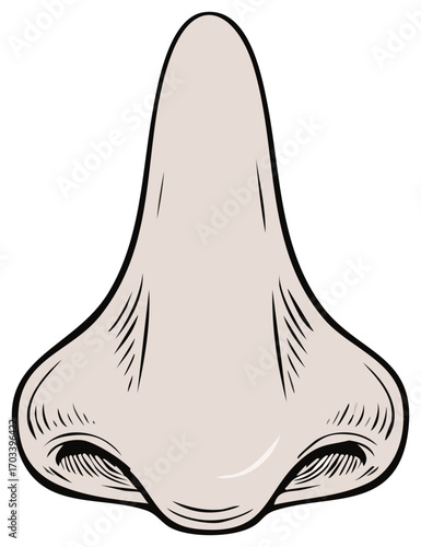 Cartoon style illustration of a human nose seen from the front with detailed nostrils and shading