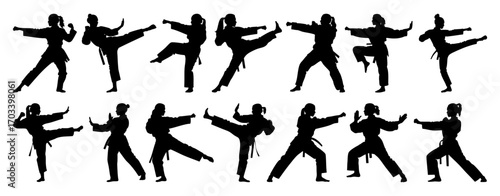 Women Martial Arts Silhouettes Vector, Karate, Kung Fu, Taekwondo Poses, Minimal Flat Design Collection, Transparent Background 