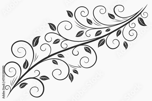 Elegant Black Swirls and Leaves Decorative Flourish.