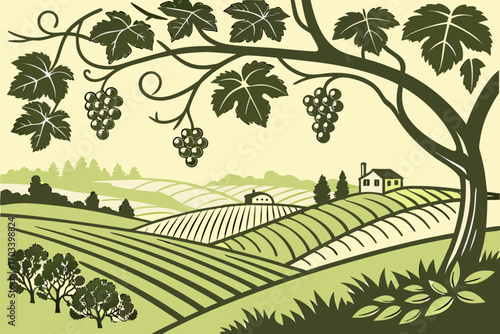 Idyllic Vineyard Landscape with Grapes and Farmhouse.