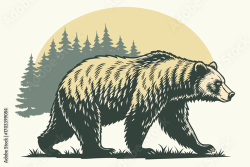 Majestic Grizzly Bear Walking Through Pine Forest.