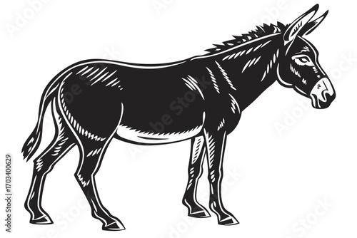 Stylized Black and White Donkey Illustration.