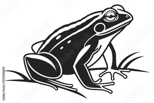 Stylized Black and White Frog Illustration.