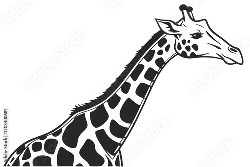 Stylized Black and White Giraffe Portrait.
