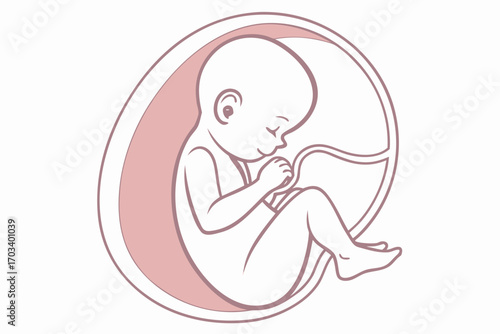 Stylized Illustration of a Fetus in the Womb.