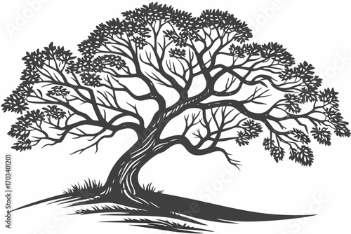 Stylized Silhouette of a Spreading Tree.