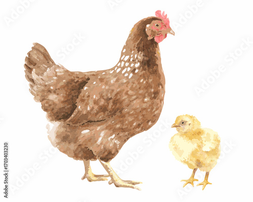 Watercolor painting of a hen and her chick on a white background