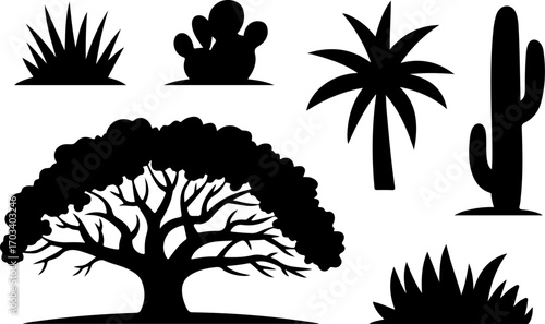 Desert Plants and Trees Silhouette Collection vector bundle