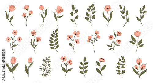 Collection of delicate botanical illustrations featuring pink flowers and greenery elements for design projects