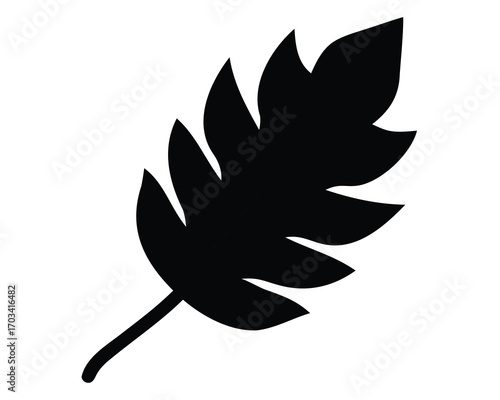 A black silhouette of a fern leaf with multiple fronds against white