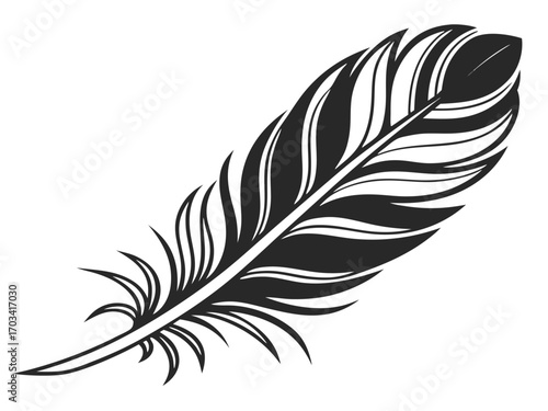 feather isolated on white