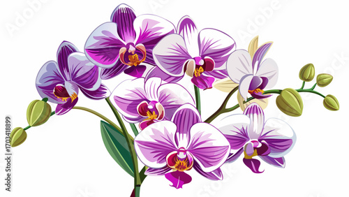 Orchids isolated on white background tilted angle5, graceful blooms in shades of purple and white, representing refinement and delicate charm, ideal for sophisticated floral vector artwork.
