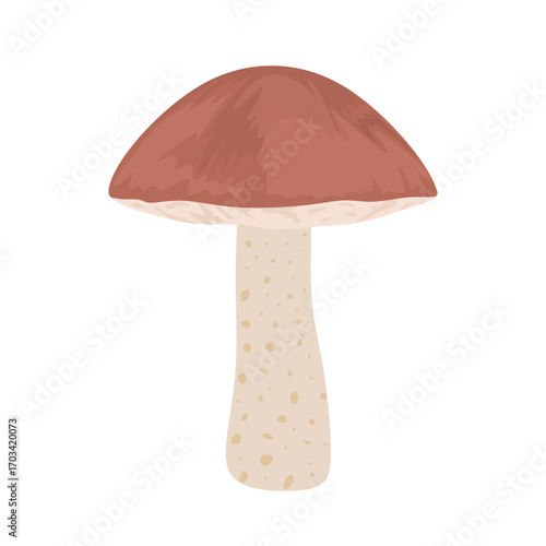 Birch bolete mushroom. Boletus edible mushroom in cartoon style isolated on white background. Autumn forest bolete mushroom. Fall plant food colored flat vector illustration