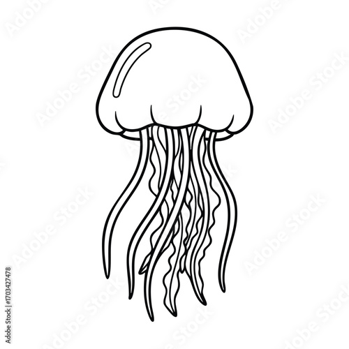 Black and white line drawing of a jellyfish with flowing tentacles and smooth bell shape in simple style