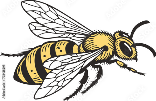 Realistic bee in flight insect illustration. Flying bee realistic artwork design. Bee in flight detailed insect artwork. Realistic honey bee flying insect design. Bee in motion realistic closeup